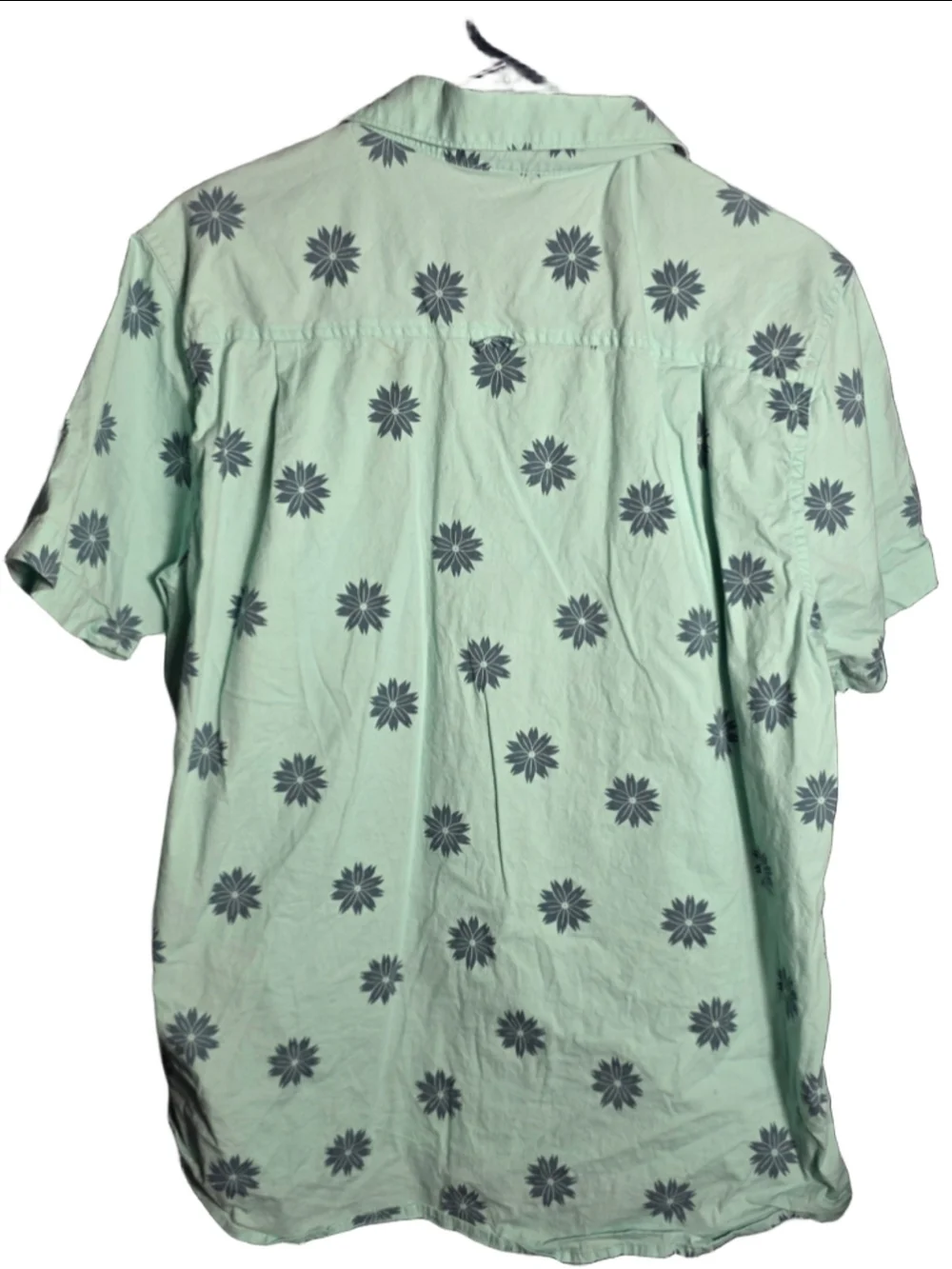 Hurley experience revolutionary